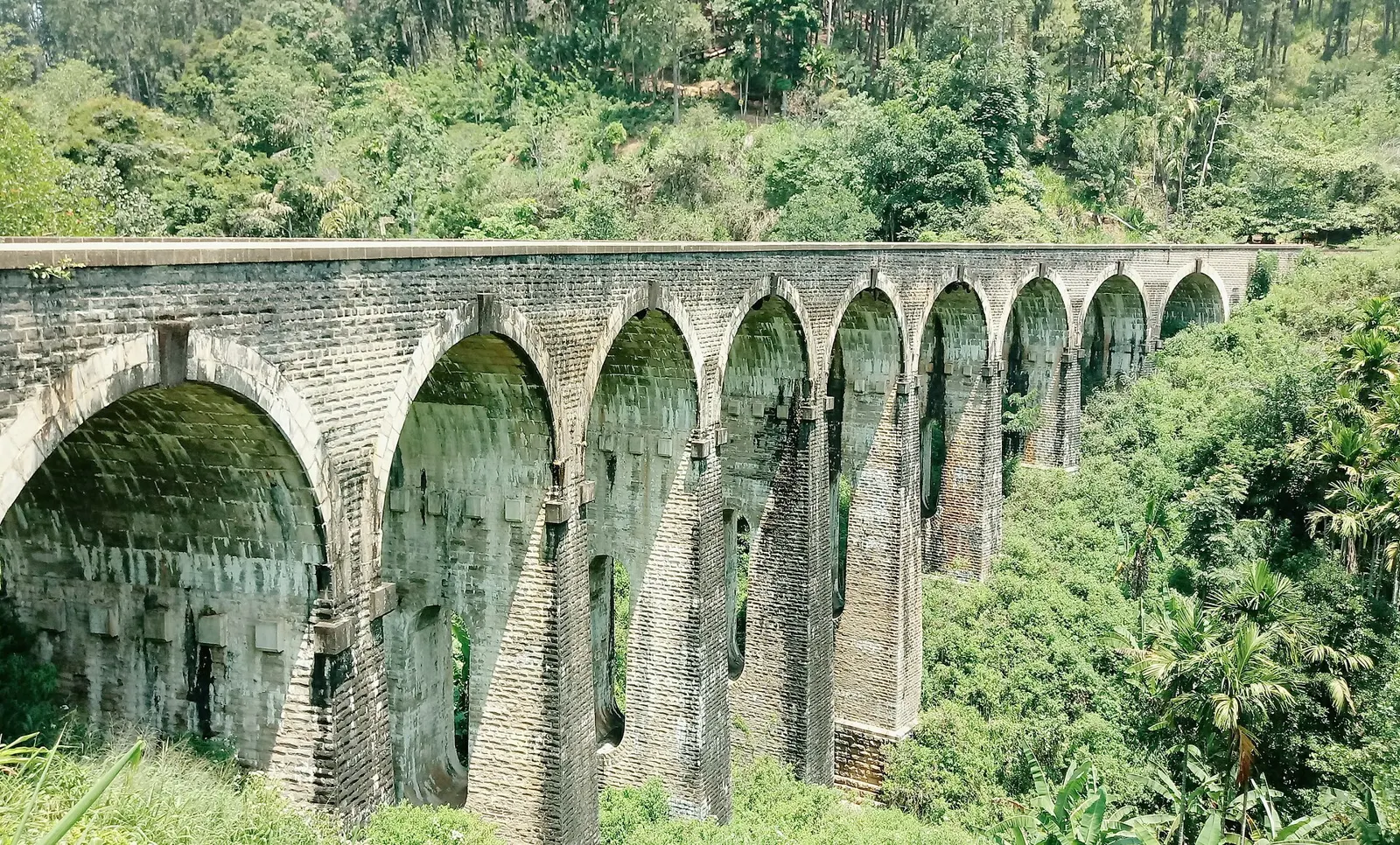 The iconic Nine Arch Bridge surrounded by emerald tea plantations near Ella