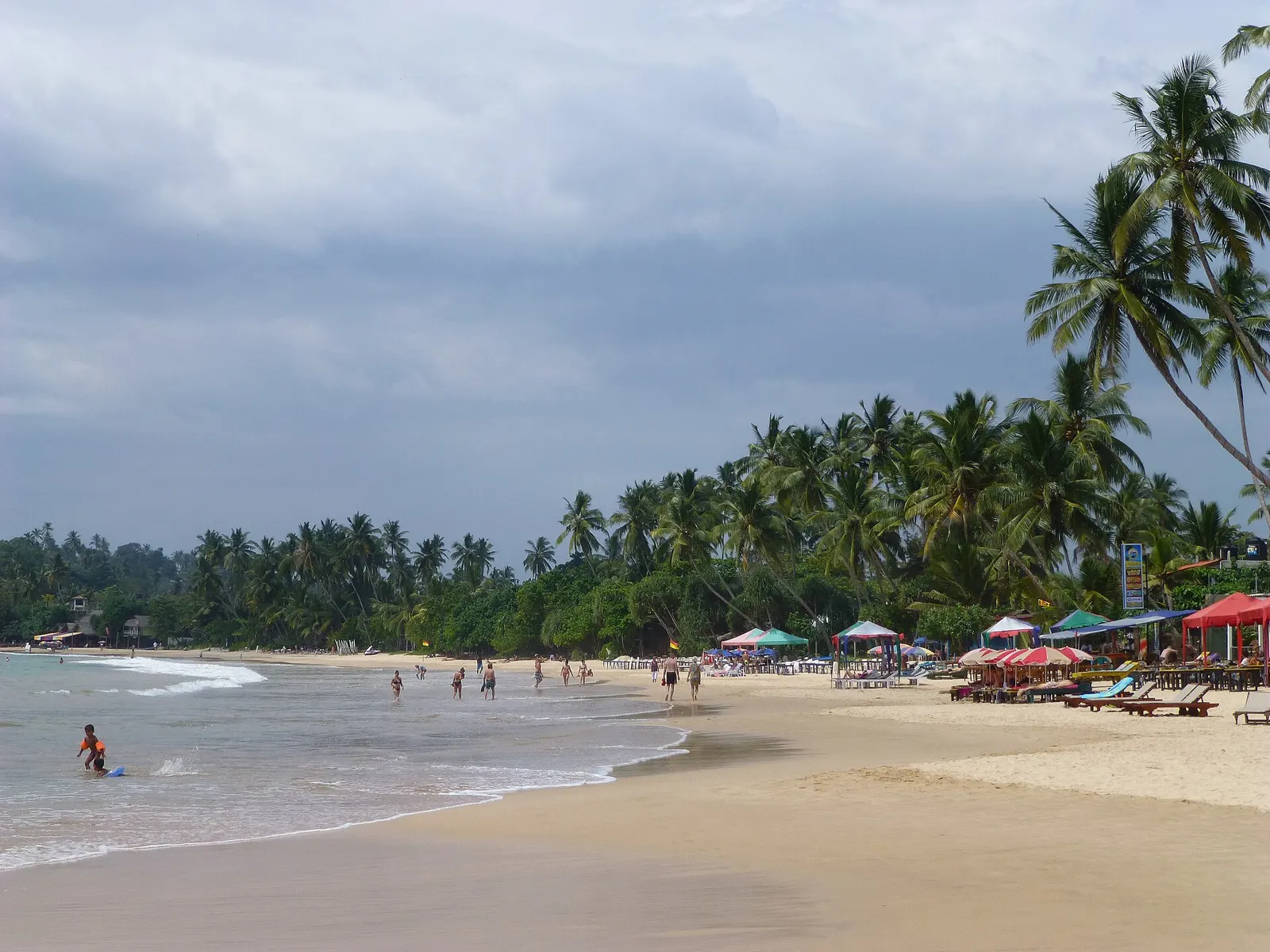 Palm-fringed crescent golden beach in Mirissa on Sri Lanka's south coast